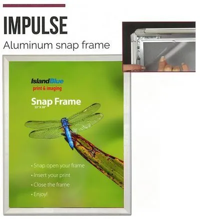 snap-frame-sample